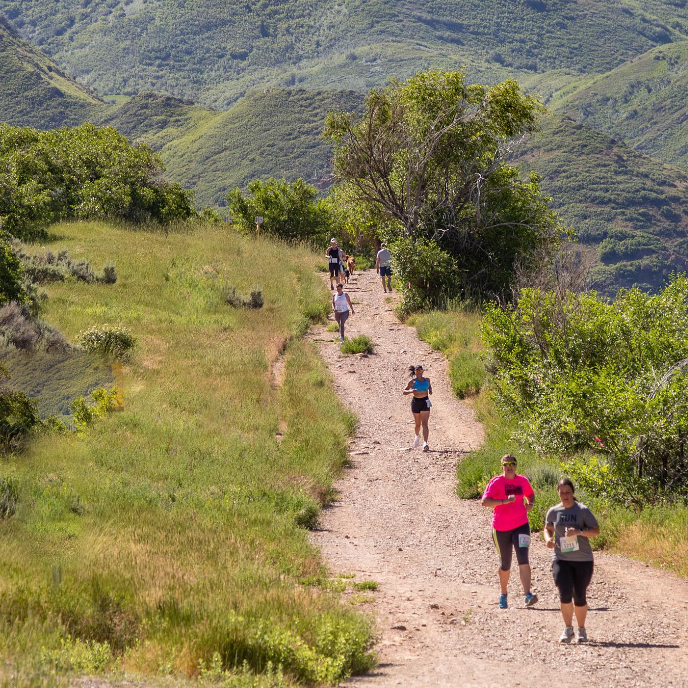 Trail Run