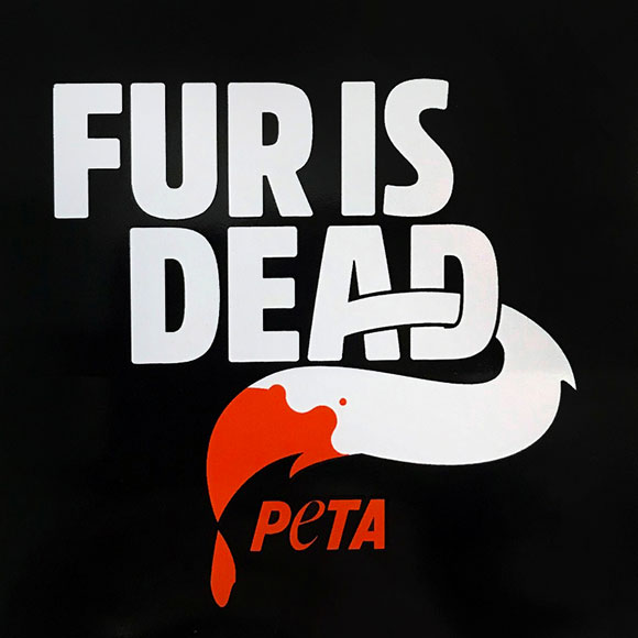 Fur Is Dead Bumper Sticker