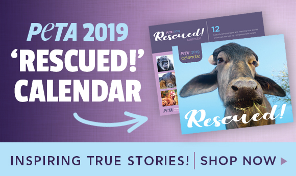 PETA 2019 Rescued Calendar