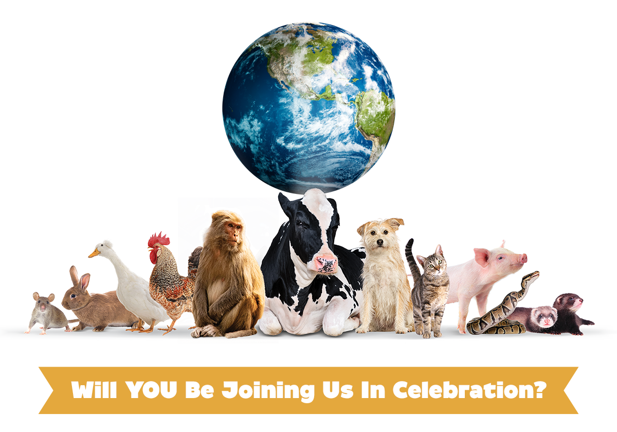 Will YOU Be Joining Us In Celebration?