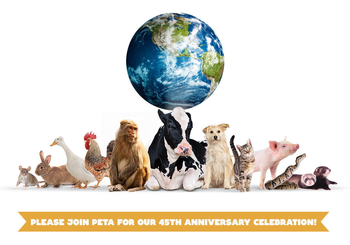 Will YOU Be Joining Us In Celebration?