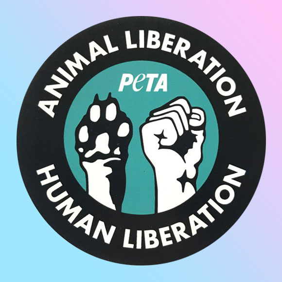 Liberation Sticker