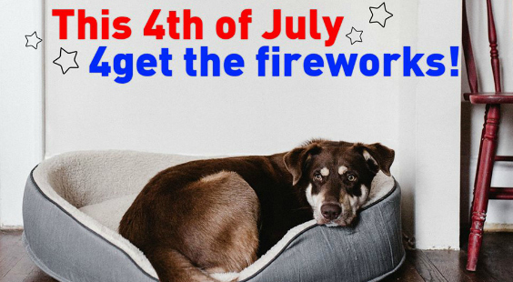 protect dogs from fireworks displays