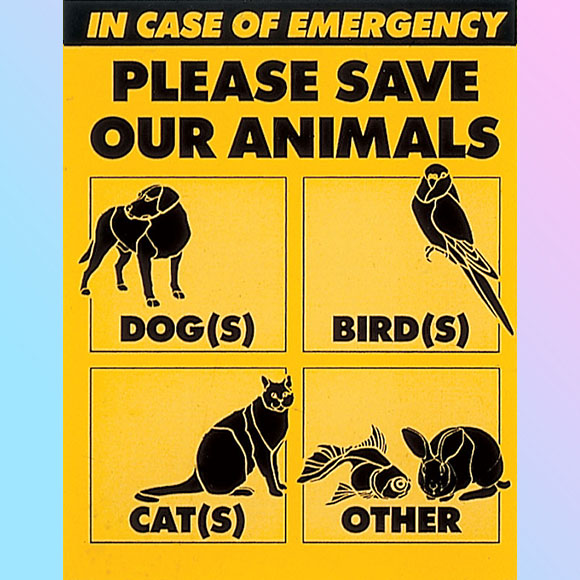 Please Save Our Animals Sticker