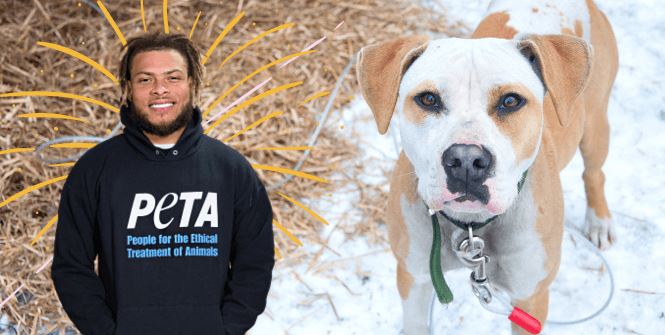 Tyrann Mathieu helps desperate dogs