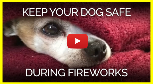 help keep dogs safe