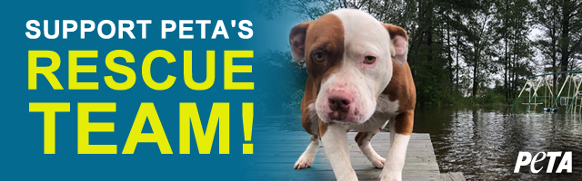 Support PETA's rescue team!