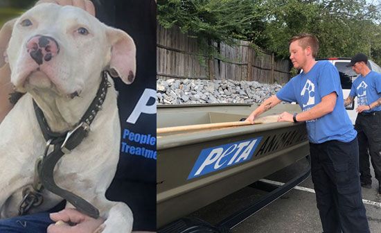 Can PETA's rescue team count on your help today?