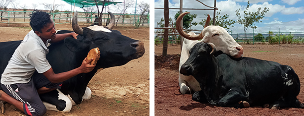 These Photos Should Be in the Dictionary Under Contentment