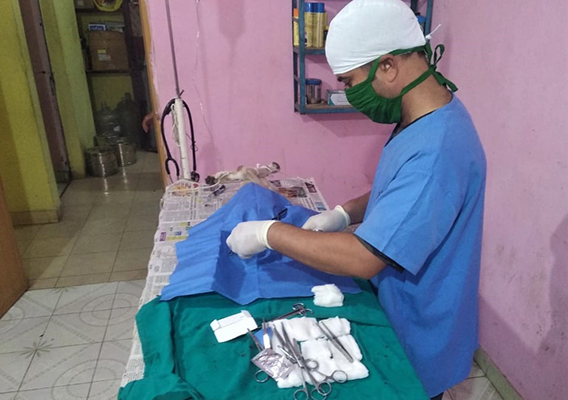 An Animal Rahat veterinarian sterilizes one of the puppies.