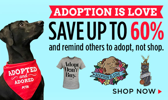 Adoption is Love Sale