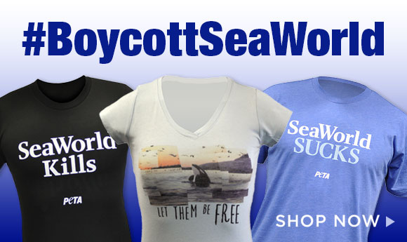 Boycott Sea World