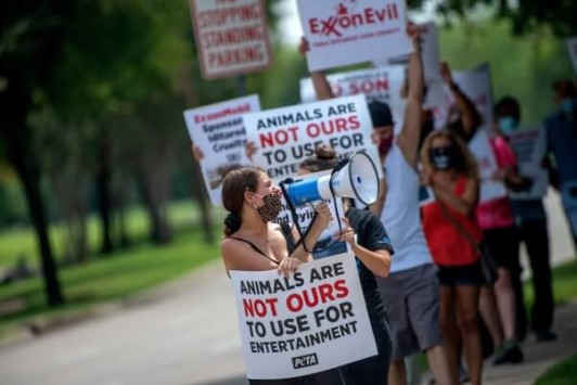 Image of Exxon protest