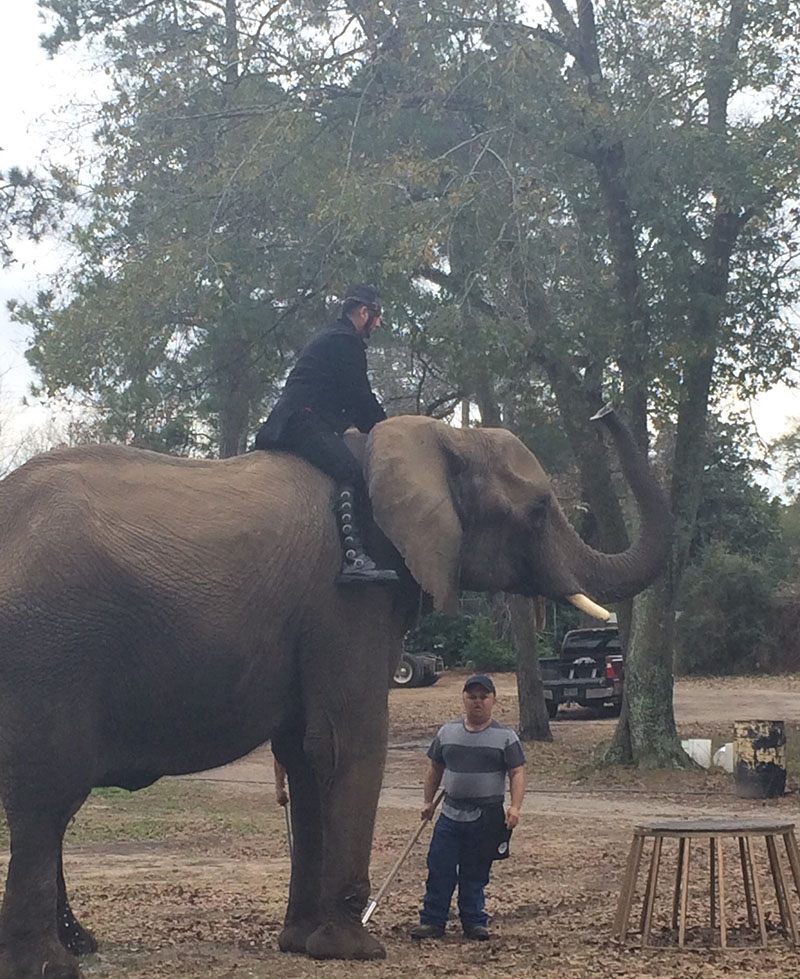 elephant and trainer