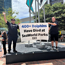 Image of Bryan's protest