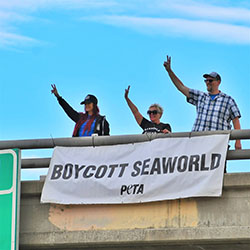 Image of Ellen's protest