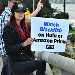 Image of Rach protesting