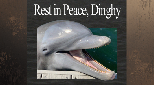 Rest in Peace, Dinghy