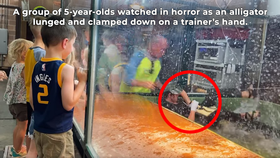 Urge ‘Scales and Tails Utah’ to Send Alligators and All Other Animals