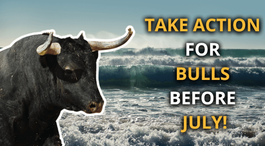 scared bull with ocean behind him with the words take action for bulls before july