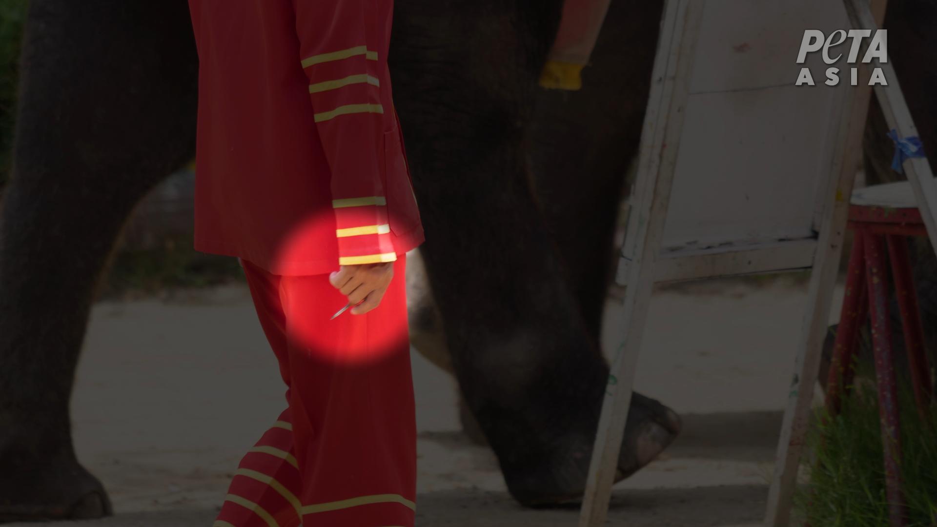 mahout with stabbing tool