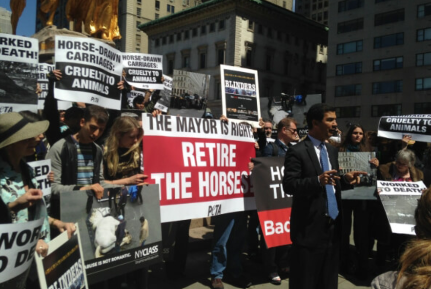 Image of nyc rally