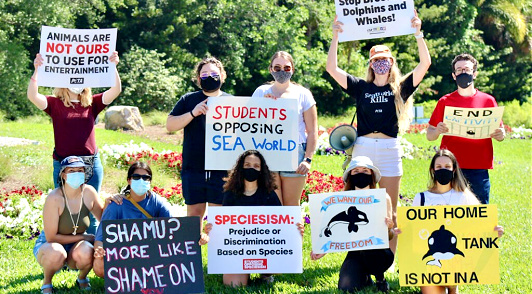 SeaWorld protest