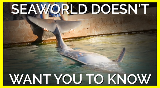 what SeaWorld does not want you to know