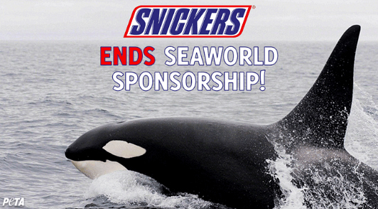 SeaWorld loses another sponsor