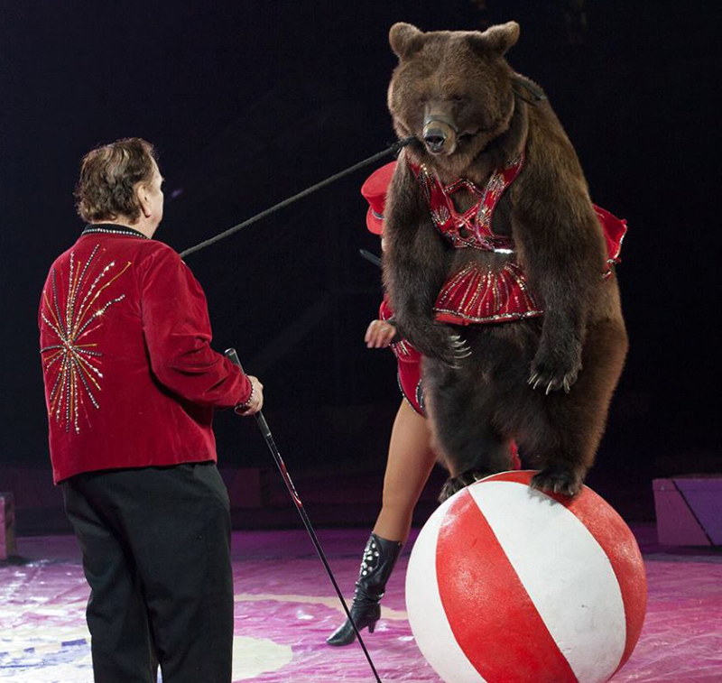 Bears and Elephants Don't Want to Perform for the Moslah Shrine Circus ...