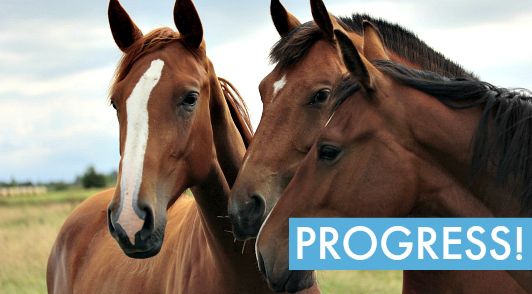 PETA is making progress for horses