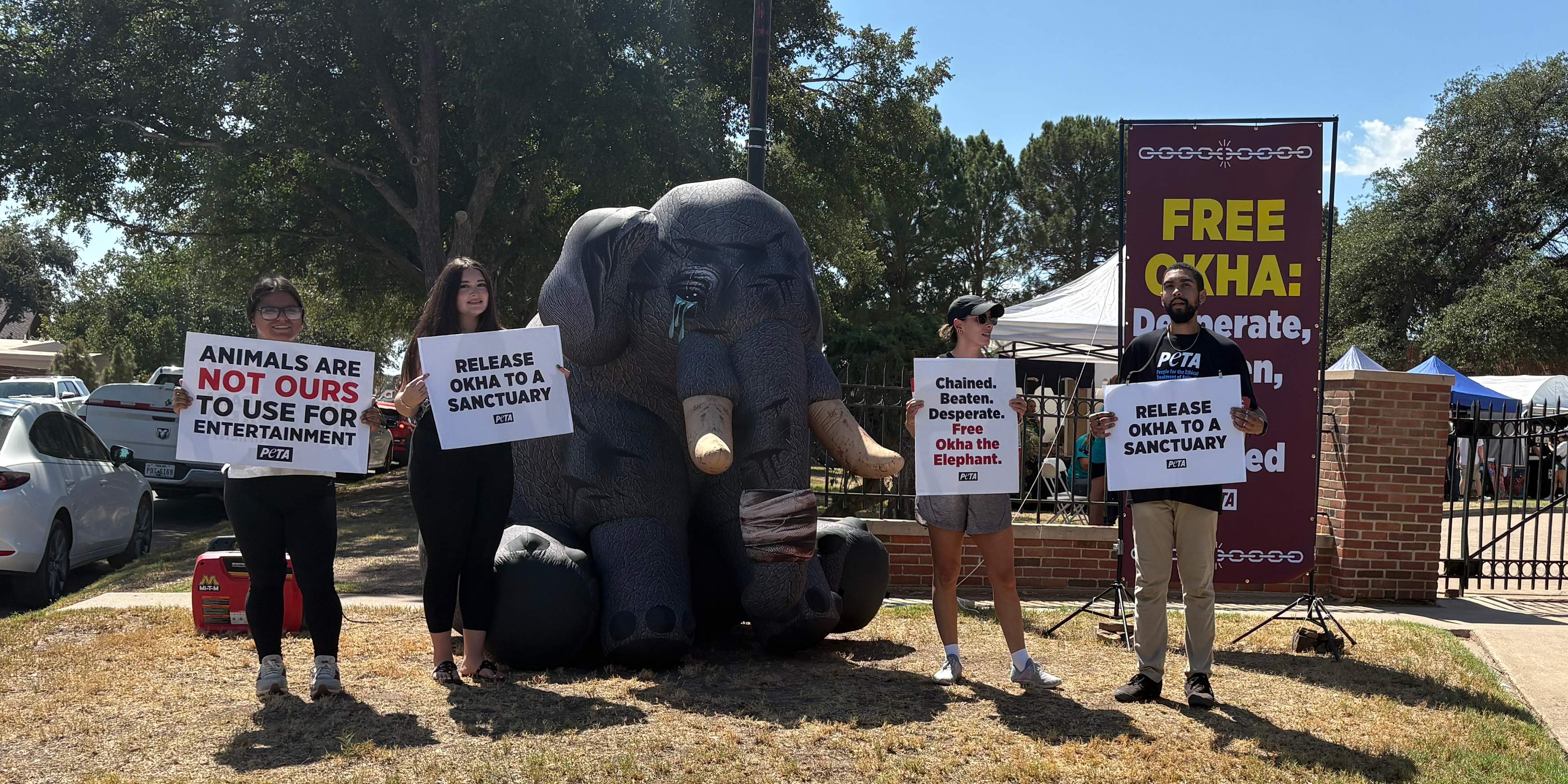 Okha the elephant protest in Midland, TX.
