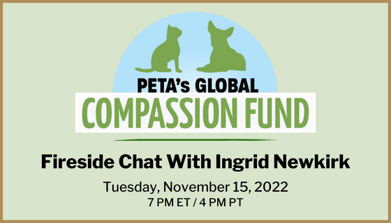 EVE 2022 10 GCF November Social Share PO AChung Register to attend the Global Compassion Fund Fireside Chat