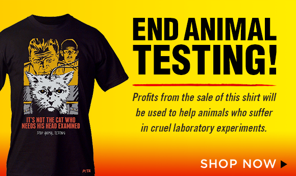 Animals Are Not Ours to Experiment On