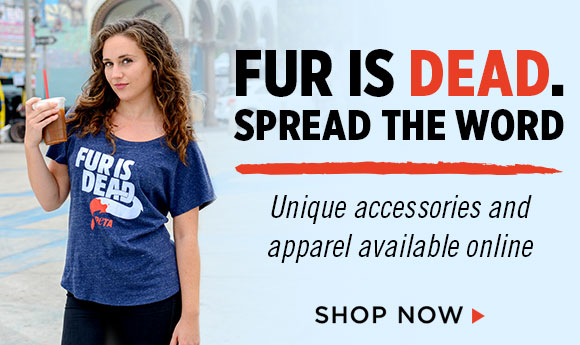 Fur is Dead banner