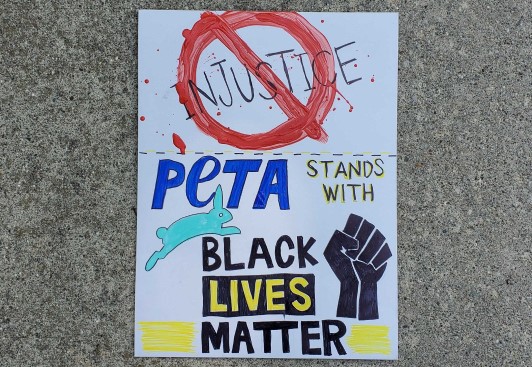 Image of protest sign reading PETA stands with Black Lives Matter