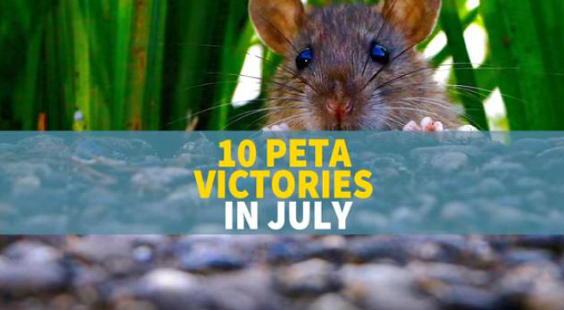 July victories for animals