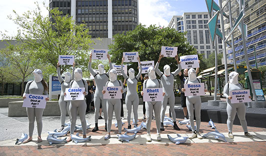 Image of SeaWorld protest