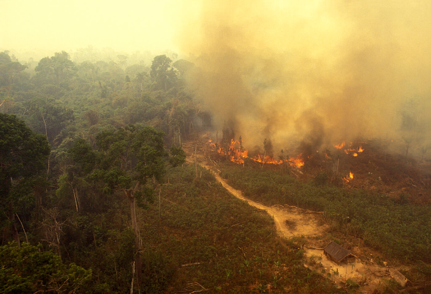 photo of Amazon fire