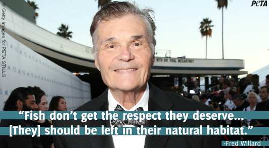 PETA Remembers Fred Willard