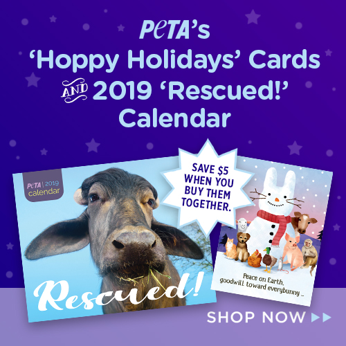 cards and calendar