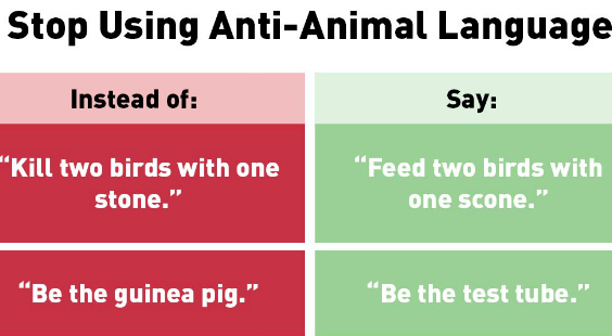 animal-friendly idioms