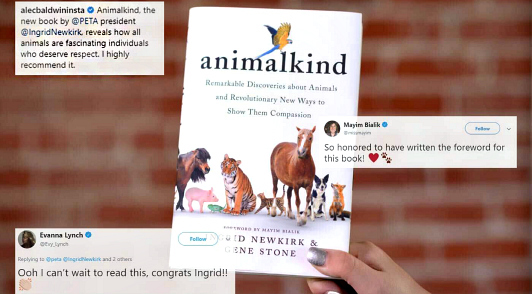 Image of the book and reviews