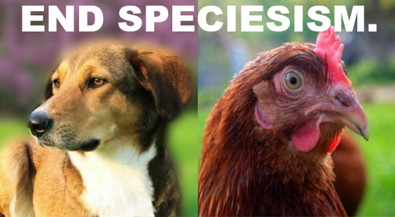 end speciesism