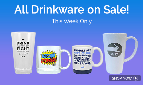 drinkware sale