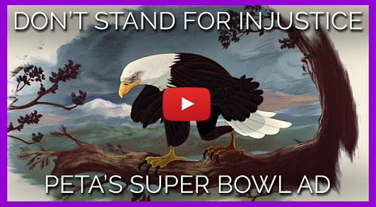 super bowl ad