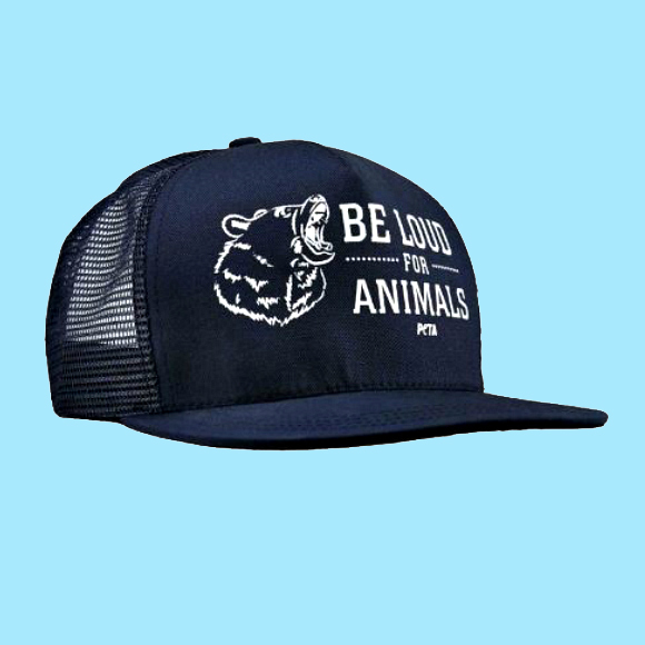 trucker cap