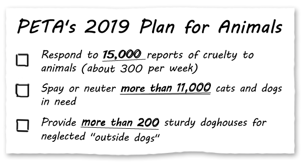 PETA' 2018 Plan for Animals - Respond to 15,000 reports of cruelty to animals (about 300 per week) - Spay or neuter more than 11,000 cats and dogs in need - Provide more than 200 sturdy doghouses for neglected "outside dogs"