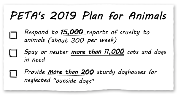 PETA' 2018 Plan for Animals  - Respond to 15,000 reports of cruelty to animals (about 300 per week)  - Spay or neuter more than 11,000 cats and dogs in need  - Provide more than 200 sturdy doghouses for neglected "outside dogs"