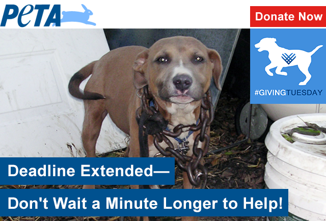 You have one more day to help unlock an additional gift for animals.